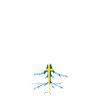 Swedish Roots racines suédoises