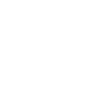 Brother Dictionary