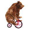 Circus brown bear on a small bike