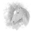 Pferd