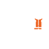 Surveyor information