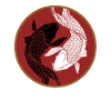 Koi Karpfen