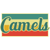 camel