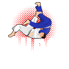 Judo