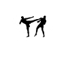 Kickboxing