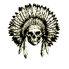 Indian skull