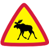 Elk warning 3clr