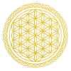 Flower of life - flower of life