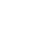 Spinne