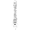 Spine body gift idea