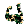 Camouflage bodybuilder