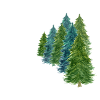 Christmas tree forest