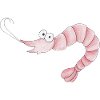 shrimp