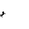 Reiter