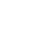 Since 1981 / DeLorean