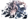 Wolf Farb Splash