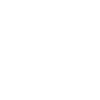 Pilot