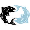 Fish Yin Yang