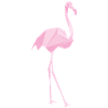 flamingo