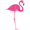 flamant
