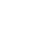 Ski