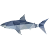 Polygon shark