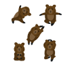 Yoga animals - bear