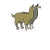 Como Te Llamas