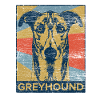 greyhound