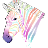 Rainbow zebra