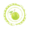Guava fruit art gift