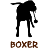 Boxer_2_cb