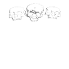 Happy Halloween 3 squelettes