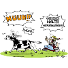 Zenzi de l’alpage avec vache