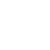 Skull Pirate