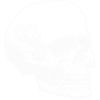 Skeleton skull