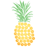 Pickeball Ananas Geschenk