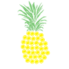 Cadeau ananas Disc Golf