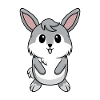 Bébé lapin