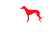 Greyhound Windhund Geschenk