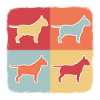 bullterrier