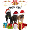 Noël - chiens et cadeaux