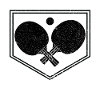 Table de ping-ping-mong