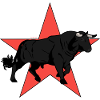 Toro