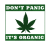 cannabis
