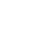 professional