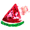 Fruit melon