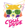 Cool Dude - Cool Guy