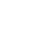 Führungskraft Pony