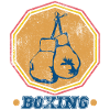 Boxing Boxing Gloves